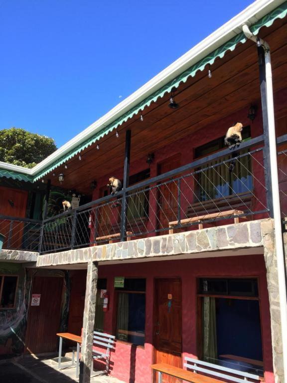 Manakin Lodge, Monteverde 外观 照片